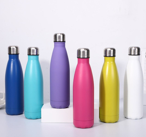 Stainless steel bottle