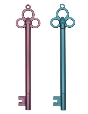 Writing Instruments Promotional Gift Key Shaped Ball Pen with Customized Logo