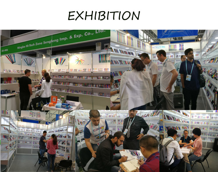 Popular Cheaper Plastic Ballpoint Pen with Logo